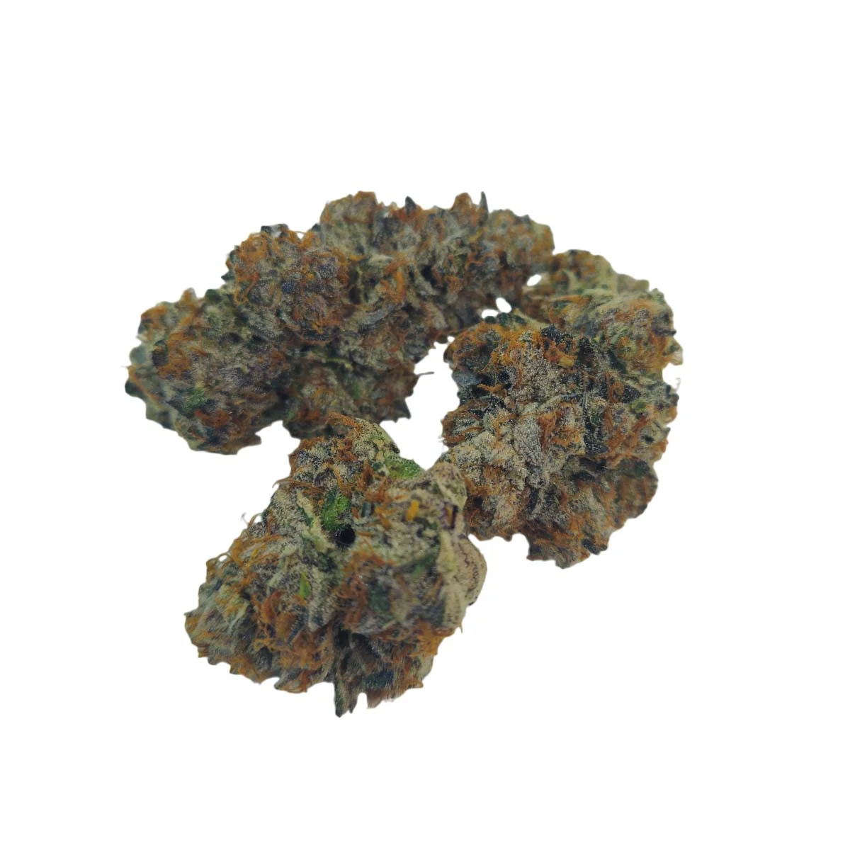 Black-Cherry-Gelato-buds Black Cherry Gelato