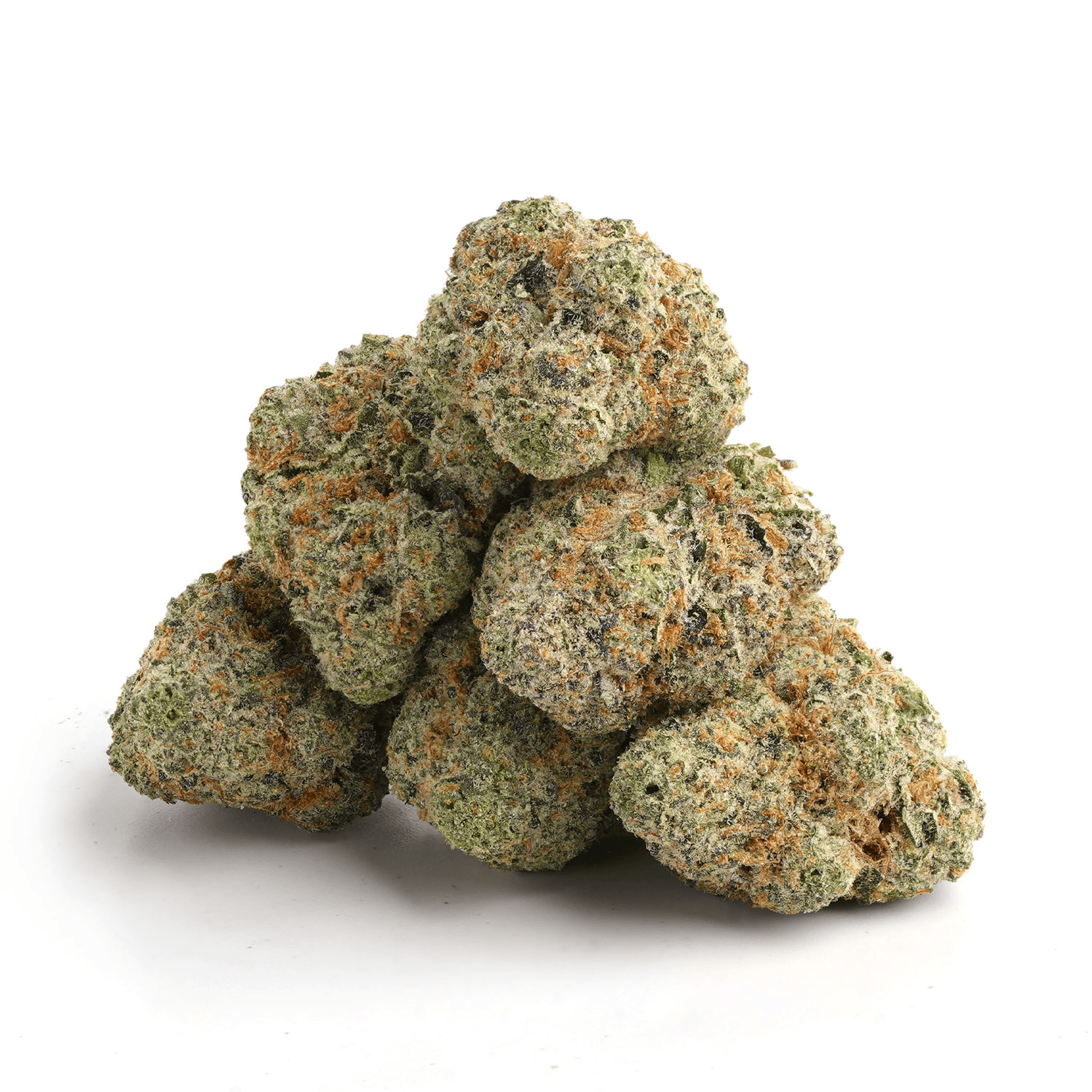 Tropicana-Cookies-11 Tropicana Cookies