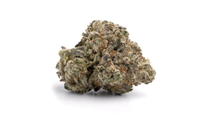 White Widow