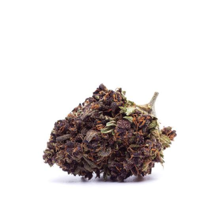 Purple Kush