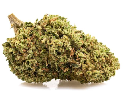 Bubble Gum