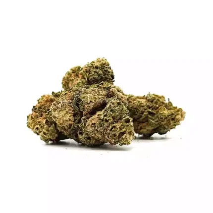 Super Silver Haze