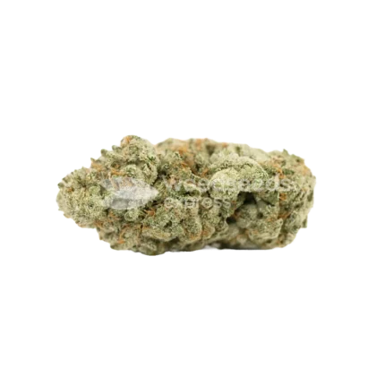 Gorilla Glue Auto