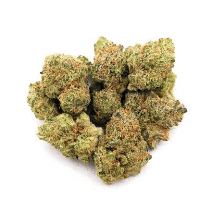 watermelon zkittlez