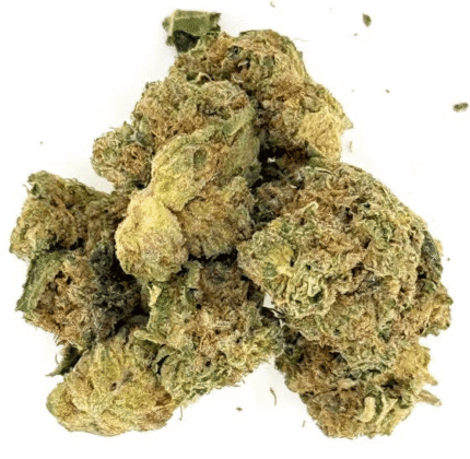 Gelato 33