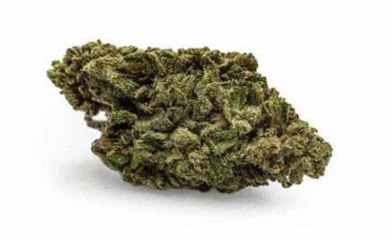 Runtz Strain