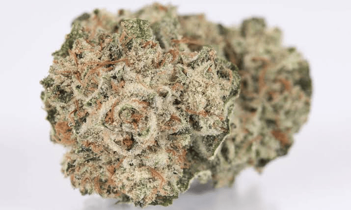 images (1) (6) Gorilla Glue 4