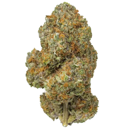 Lemon Cherry Gelato